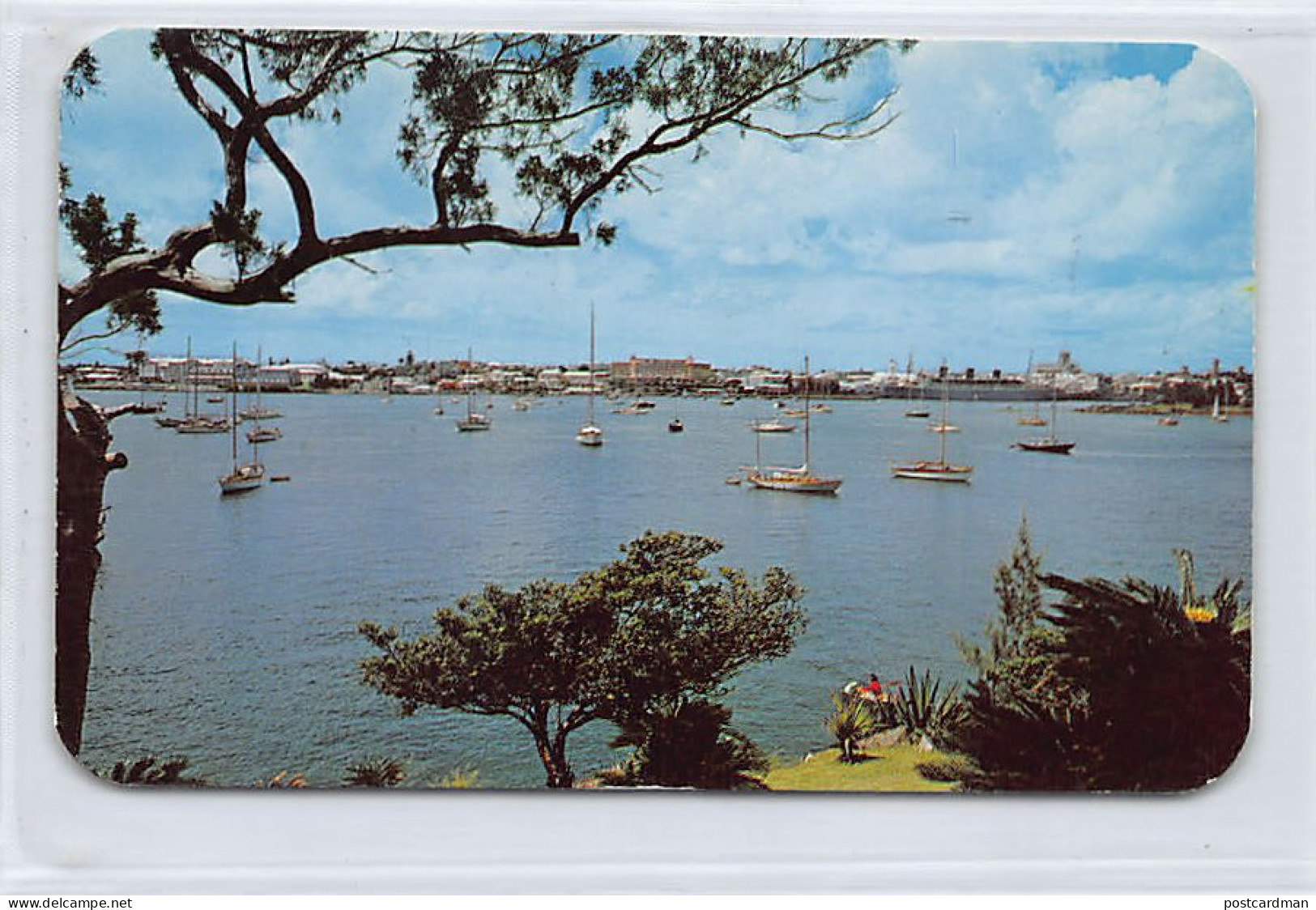 Bermuda - HAMILTON - Harbour From The Paget Shore - Publ. Bermuda Drug Co.  - Bermudes