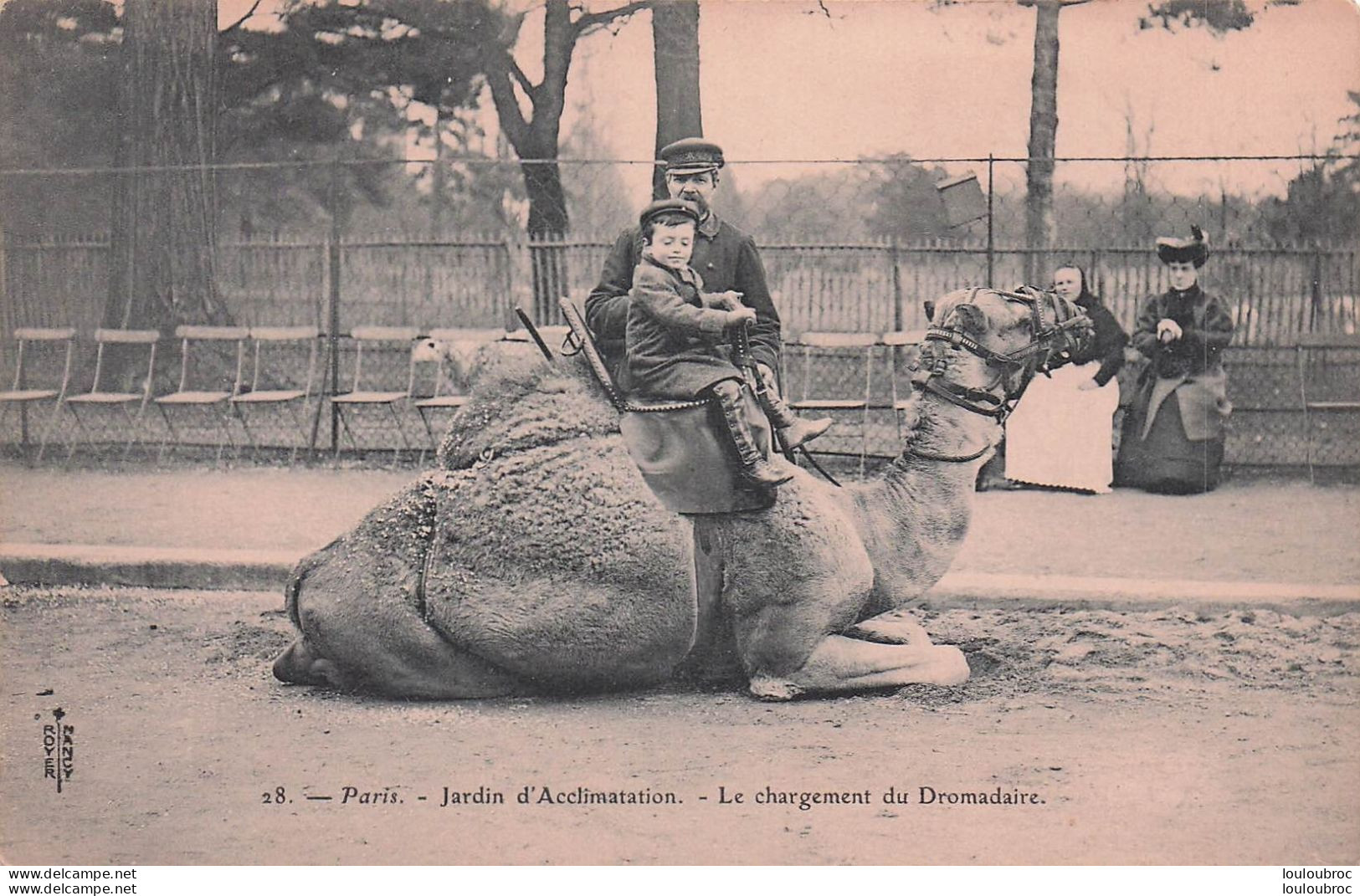 PARIS JARDIN  ZOOLOGIQUE D'ACCLIMATATION LE CHARGEMENT DU DROMADAIRE - Parks, Gardens