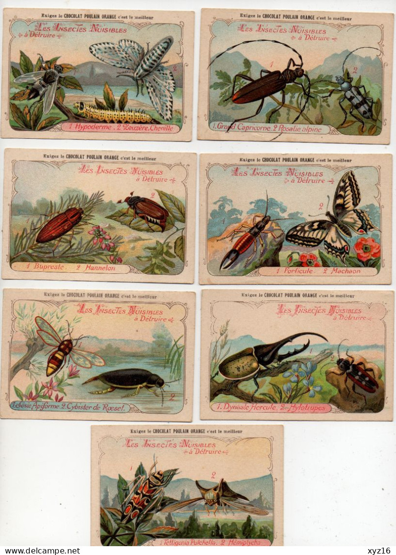 Lot De 7 Chromos Chocolat Poulain Les Insectes Nuisibles à Détruire - Poulain