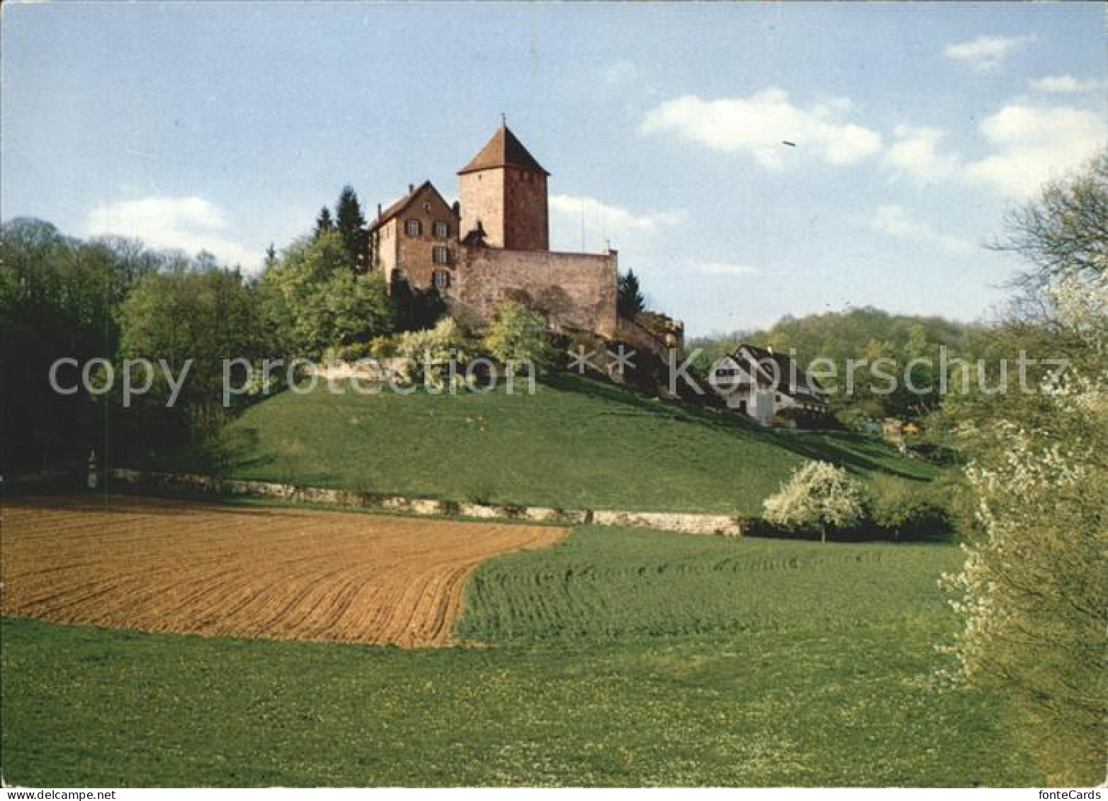 11865898 Schaffhausen SH Schloss Herblingen Schaffhausen - Autres & Non Classés
