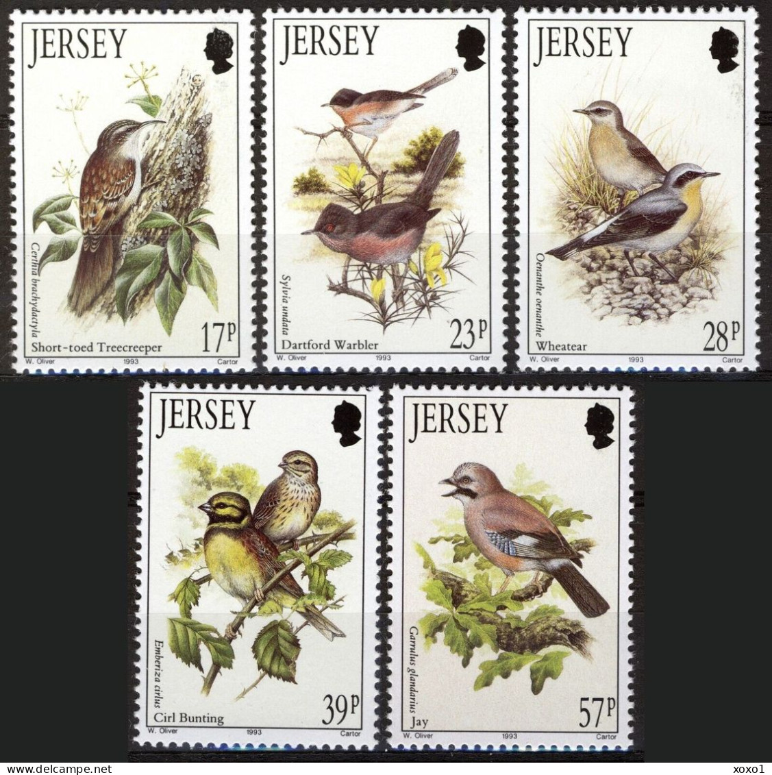 Jersey 1993 MiNr. 630 - 634 Migratory Birds (I) 5v MNH** 8,50 € - Jersey