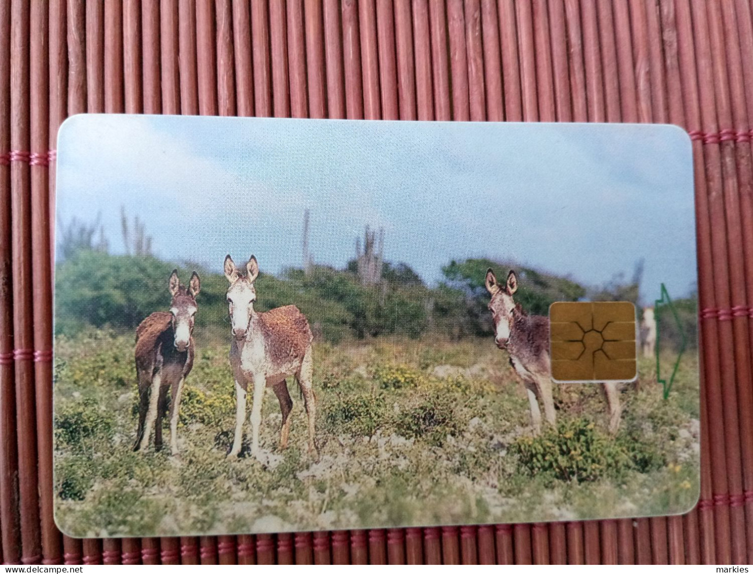 Phonecard Donkeys Used  Rare - Antille (Olandesi)