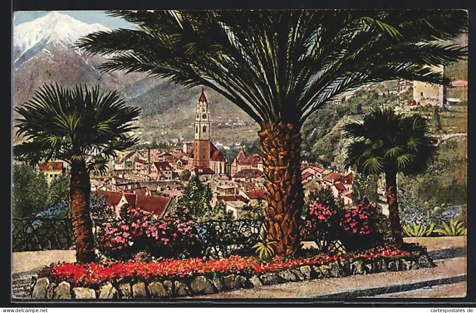 Cartolina Bolzano, Ortsansicht Hinter Palmen  - Bolzano