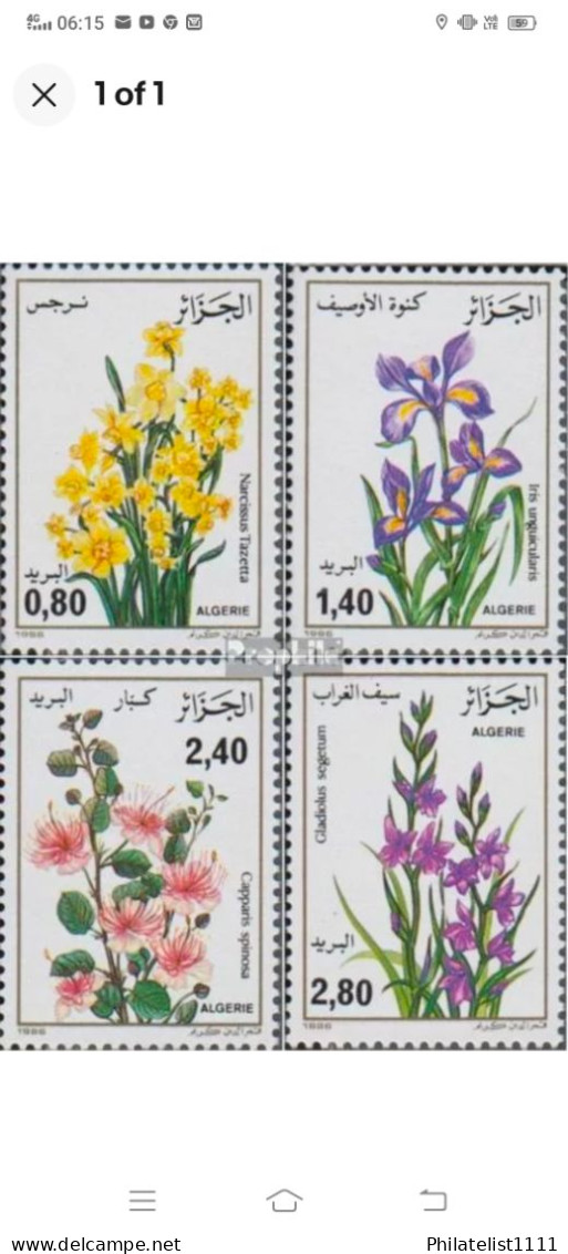 Flowers Algeria - Argelia (1962-...)