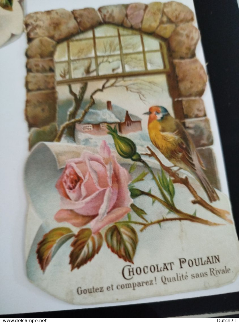 6 CHROMO CHOCOLAT POULAIN/OISEAU FLEUR - Poulain