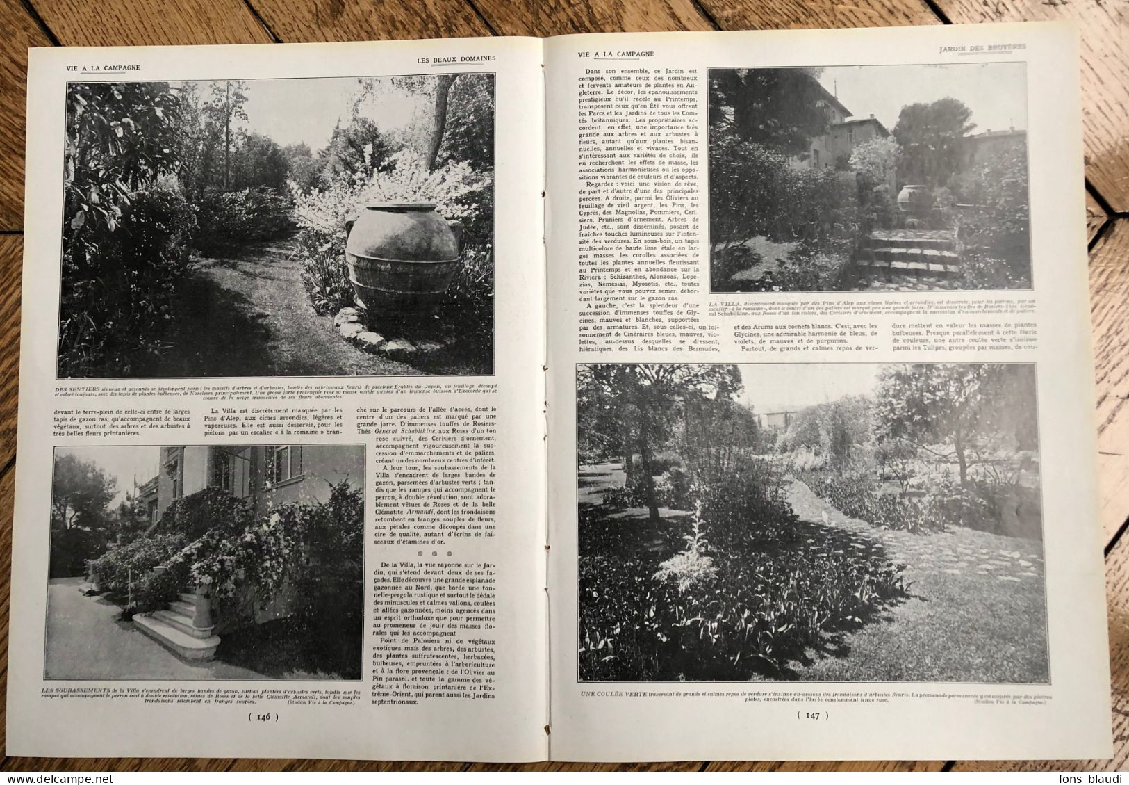 1932 - Le Jardin De La Villa Les Bruyères à Saint-Jean-Cap-Ferrat (Alpes-Maritimes) - Article De 4 Pp. - Non Classificati