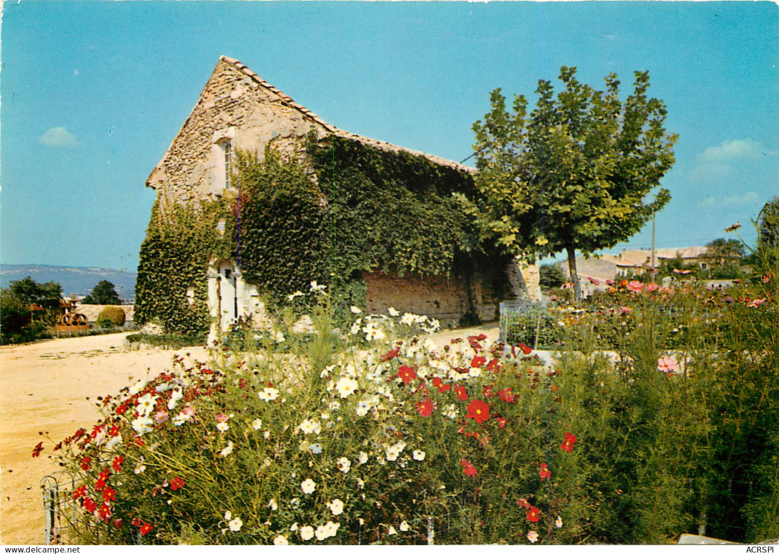 BOLLENE  Musée Du Belvédère PASTEUR Et Ses Jardins Fleuris 22 (scan Recto Verso)MF2704 - Bollene