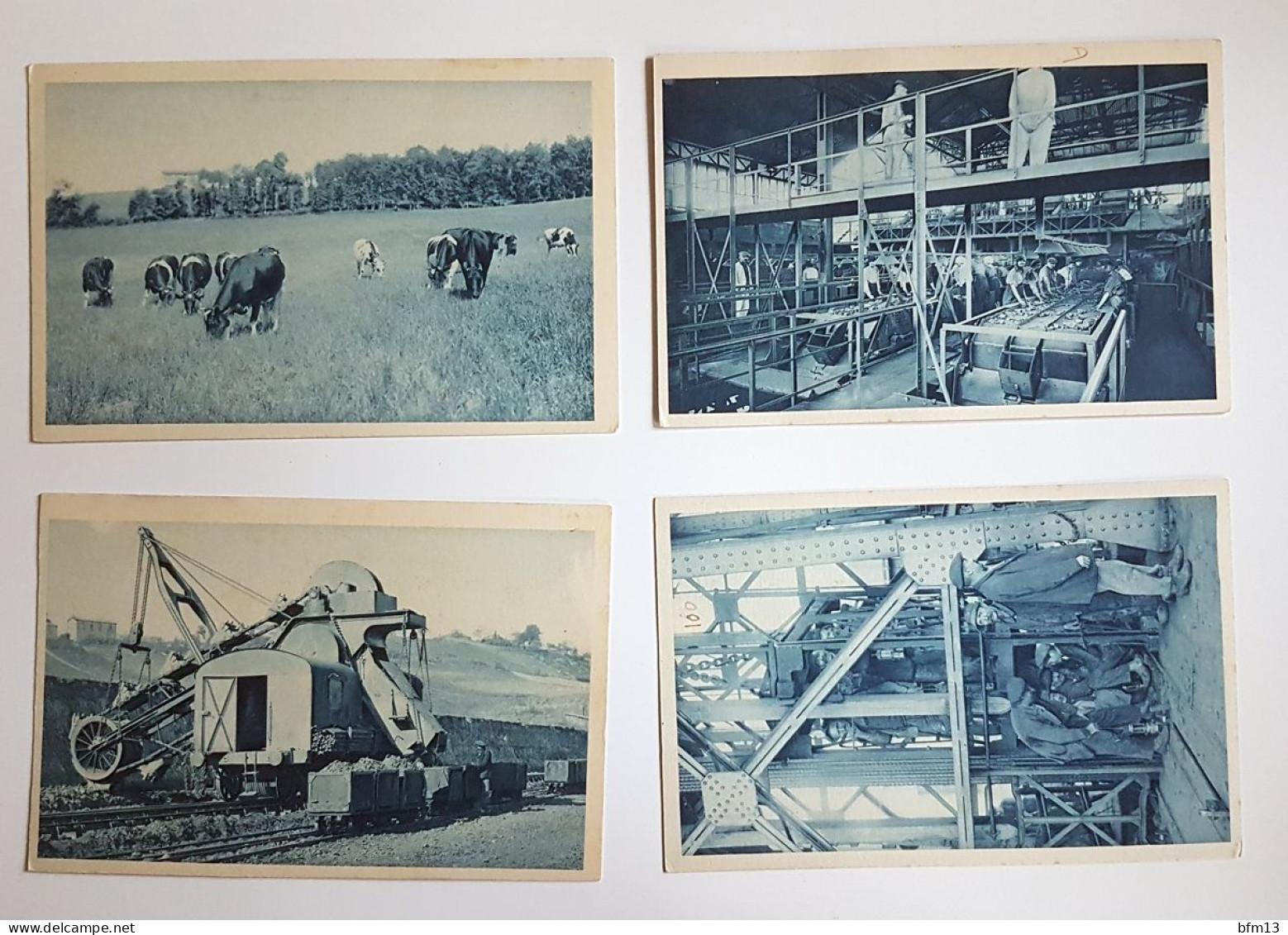 CARMAUX - Lot De 4 Cartes - Mines De Carmaux (vaches Laitieres, Criblages, Excavateur, Remontée) - Carmaux