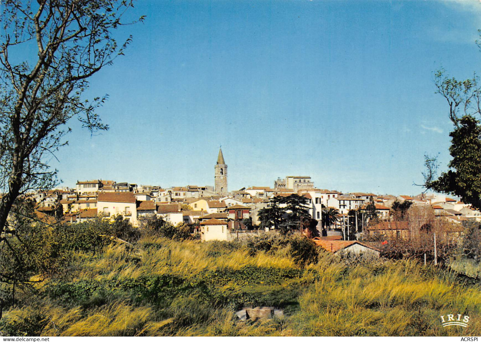 FREJUS Vue Générale Le Clocher De L'église 23 (scan Recto Verso)MF2721BIS - Frejus