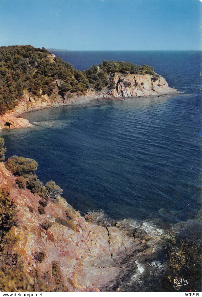 BORMES Les MIMOSAS  Le Cap BENAT  23 (scan Recto Verso)MF2721TER - Bormes-les-Mimosas