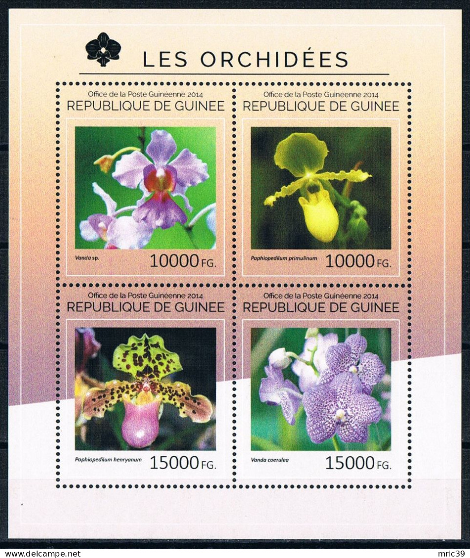 Bloc Sheet  Fleurs Orchidées Flowers Orchids  Neuf  MNH **   Guinee Guinea 2014 - Orchideeën