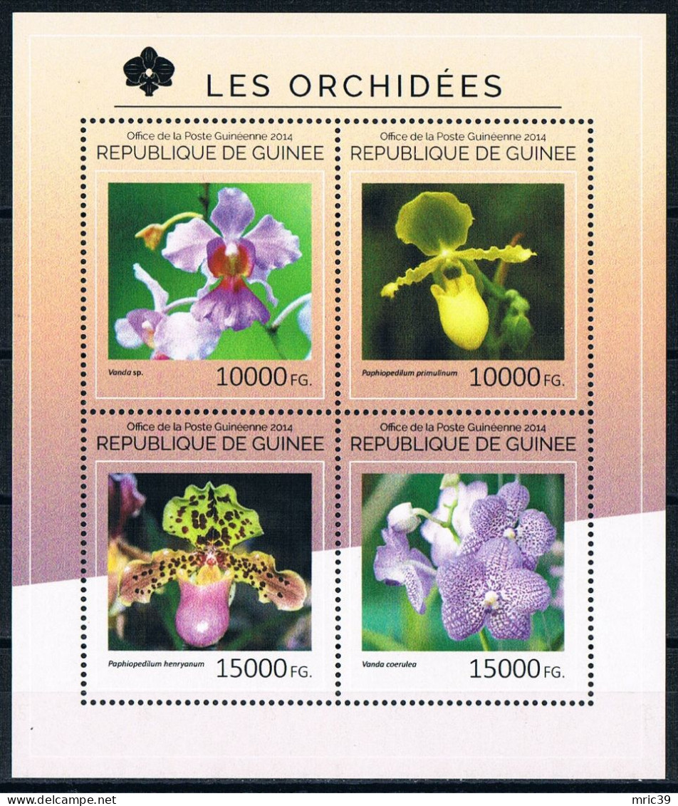 Bloc Sheet  Fleurs Orchidées Flowers Orchids  Neuf  MNH **   Guinee Guinea 2014 - Orquideas