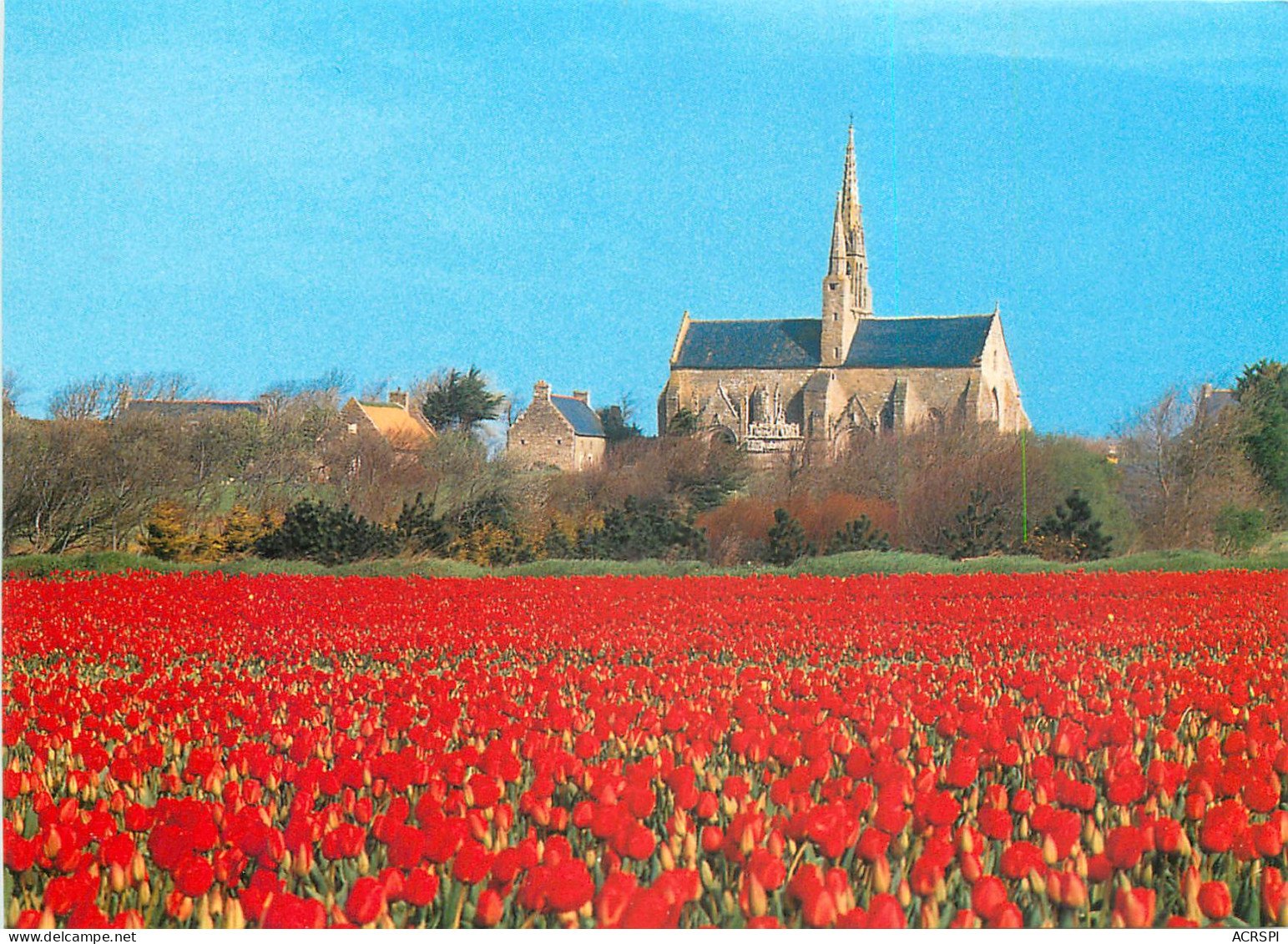 SAINT JEAN TROLIMON La Chapelle Notre-Dame De Tronoen Au Milieudes Tulipes Au Mois D' Avril 17( Scan Recto Verso) MF2723 - Saint-Jean-Trolimon