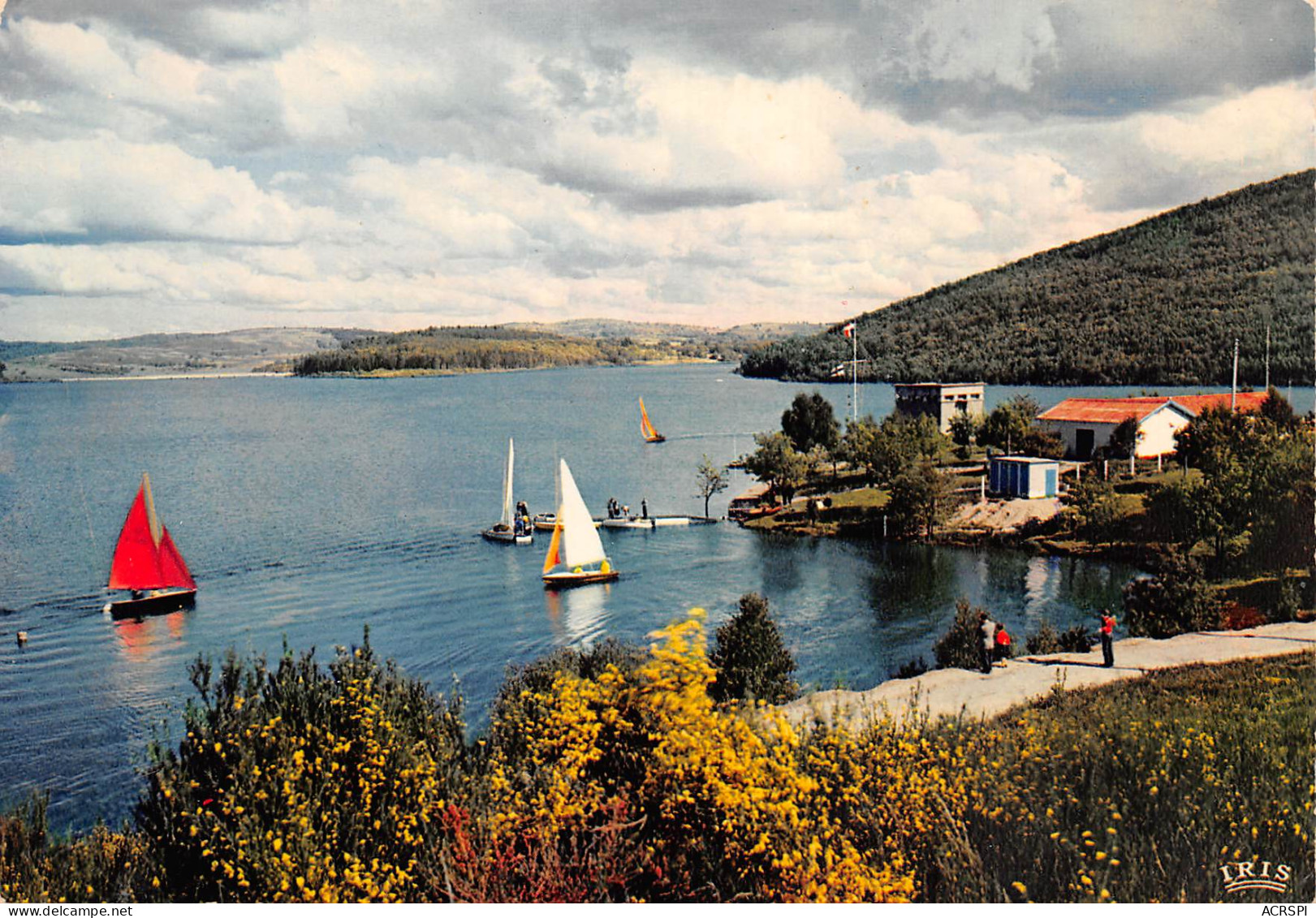 Lac De Vassivière  Les Sagnes Peyrat-le-Château Royere école De Voile Club Nautique  15 (scan Recto Verso)MF2728UND - Eymoutiers