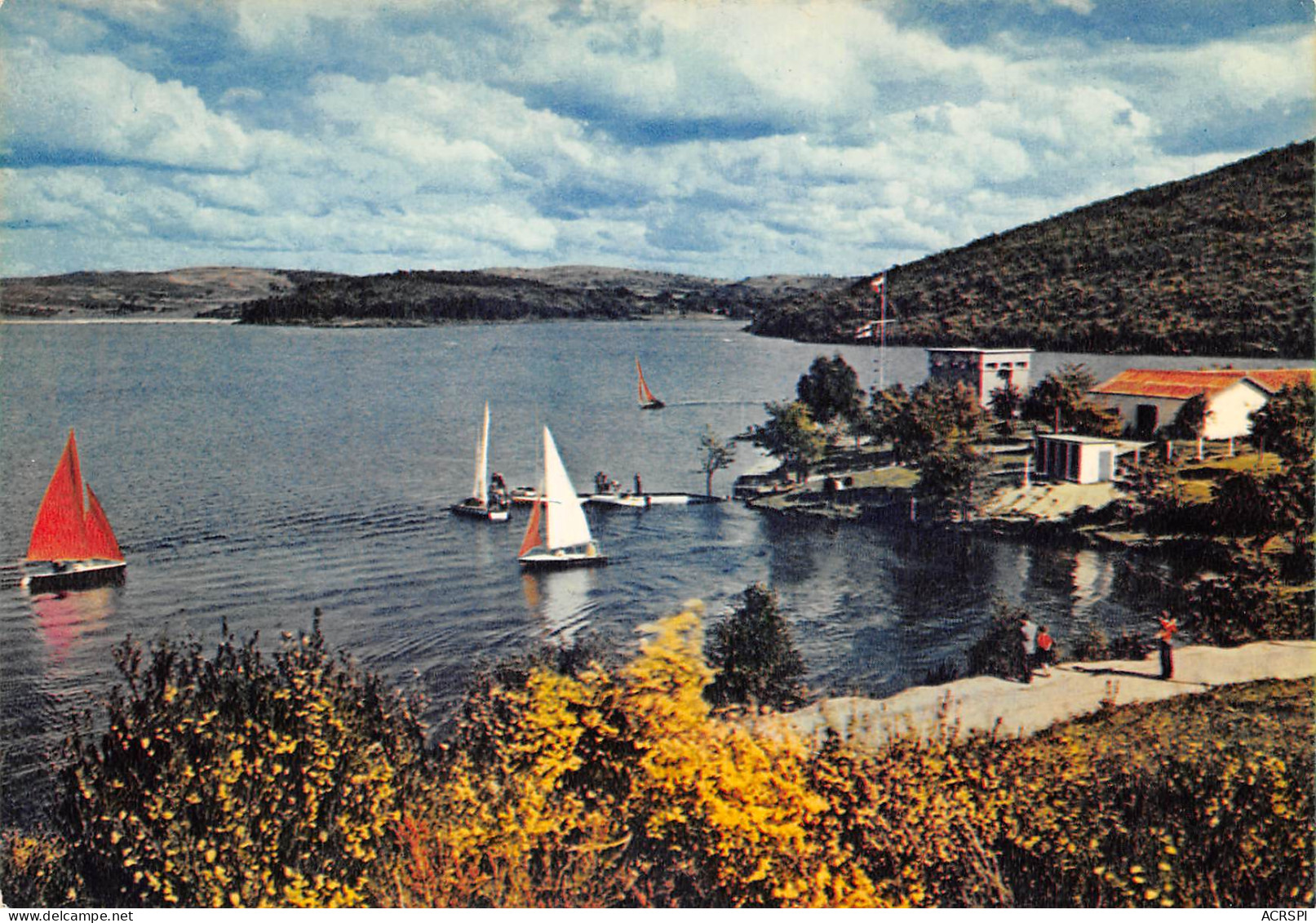 Lac De Vassivière  Les Sagnes Peyrat-le-Château Royere école De Voile Club Nautique  16 (scan Recto Verso)MF2728UND - Eymoutiers