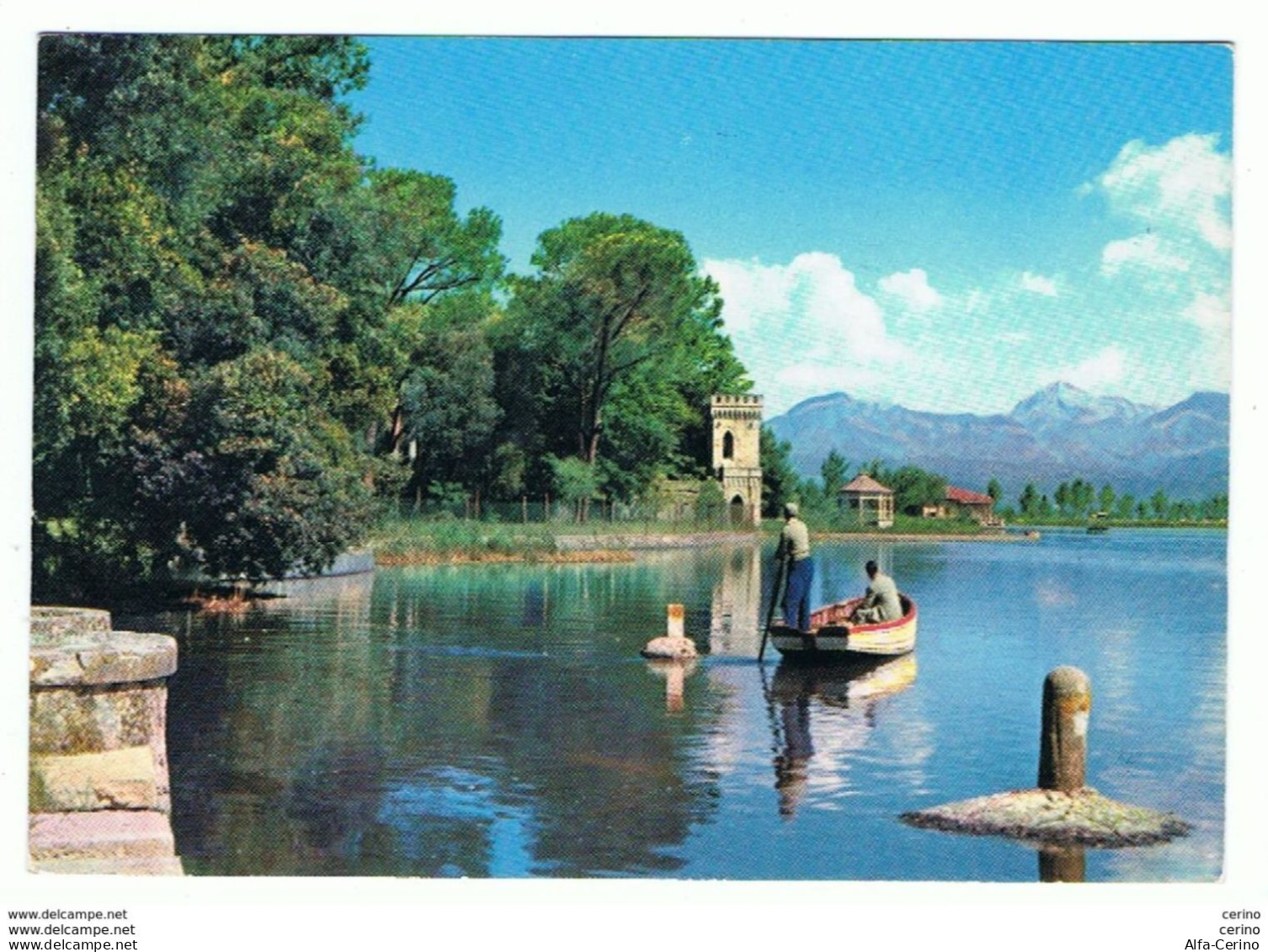 TORRE  DEL  LAGO  PUCCINI:  UNO  SGUARDO  ALLE  APUANE  -  FG - Lucca