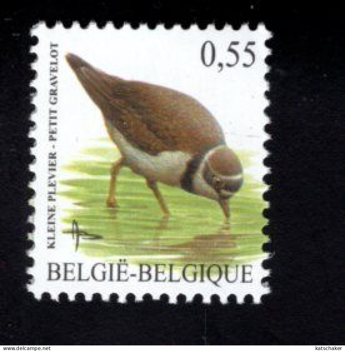1920195675 2004 SCOTT 1975 OCB 3267  (XX) POSTFRIS MINT NEVER HINGED  - BIRDS - PETIT GRAVELOT KLEINE PLEVIER - Ungebraucht
