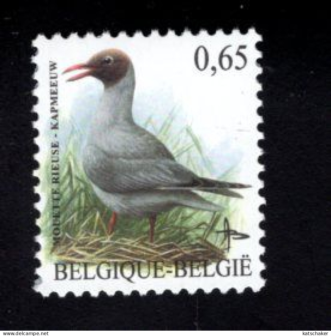 1920196434 2004 SCOTT 1976 OCB 3268  (XX) POSTFRIS MINT NEVER HINGED  - BIRDS - MOUETTE RIEUSE KAPMEEUW - Unused Stamps