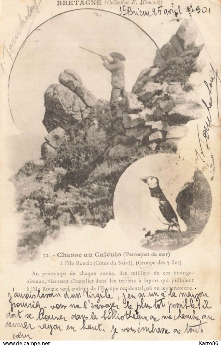 Ile Rouzic , Perros Guirec * La Chasse Au Calculo ( Perroquet De Mer ) * 1901 * Hunt Hunting Chasseur - Perros-Guirec