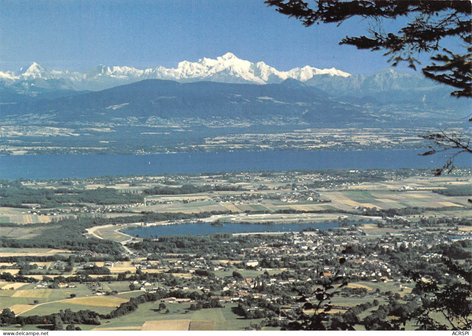 DIVONNE LES BAINS  Panorama Sur Le Lac Léman  8 (scan Recto Verso)MF2740TER - Divonne Les Bains