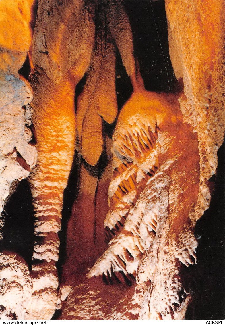 CLUNY  Grottes De BLANOT  19 (scan Recto Verso)MF2740VIC - Cluny