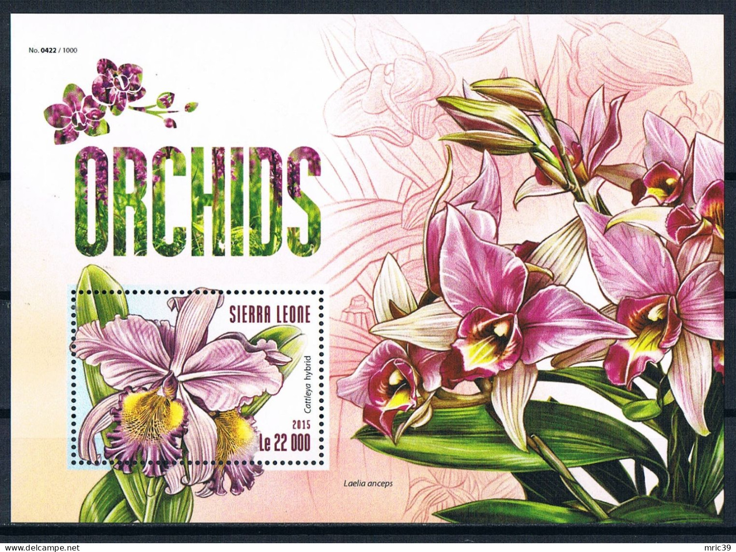 Bloc Sheet  Fleurs Orchidées Flowers Orchids  Neuf  MNH **   Sierra Leone 2015 - Orchids