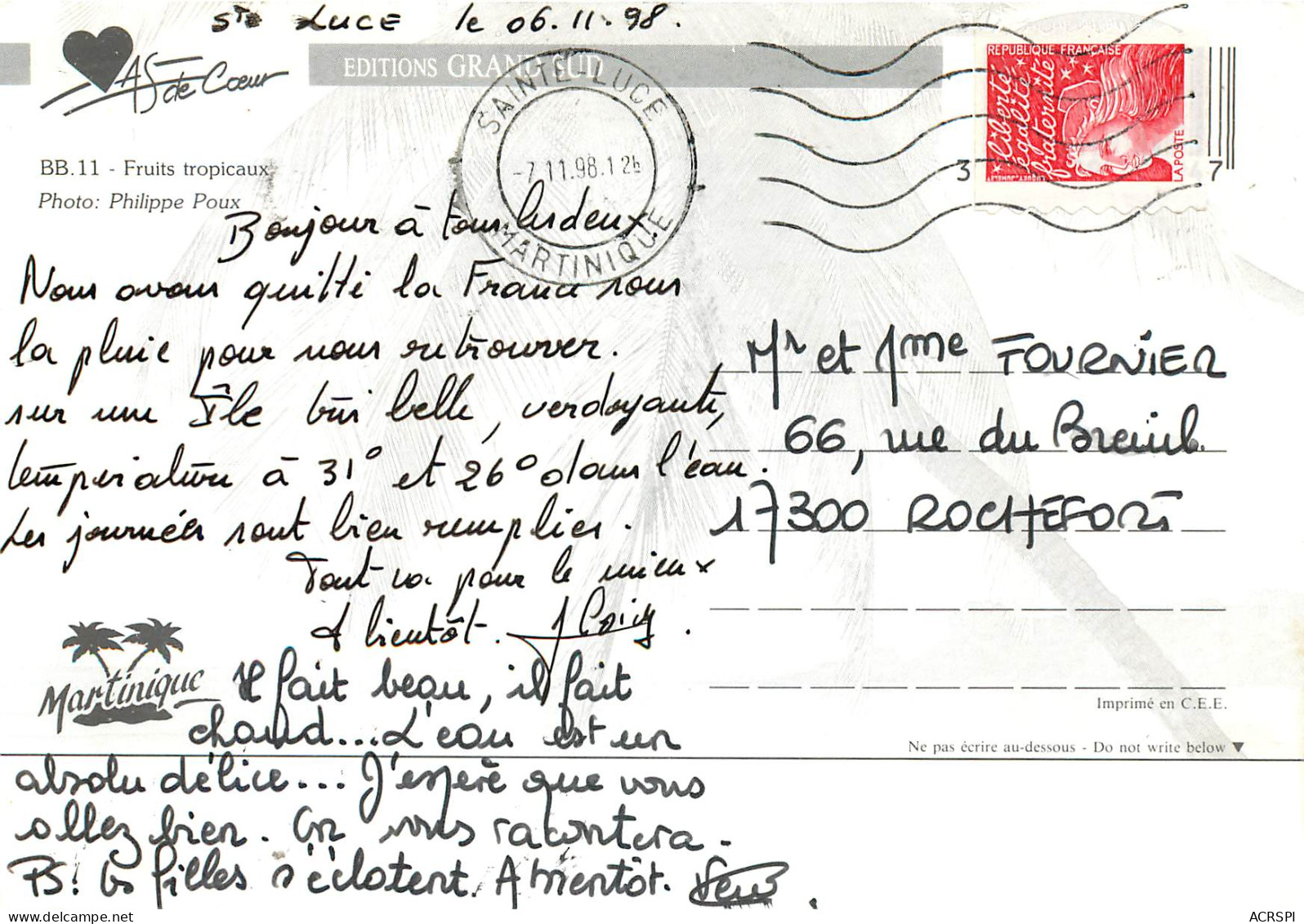 MARTINIQUE Fruits Tropicaux 8(scan Recto Verso)MF2744 - Fort De France