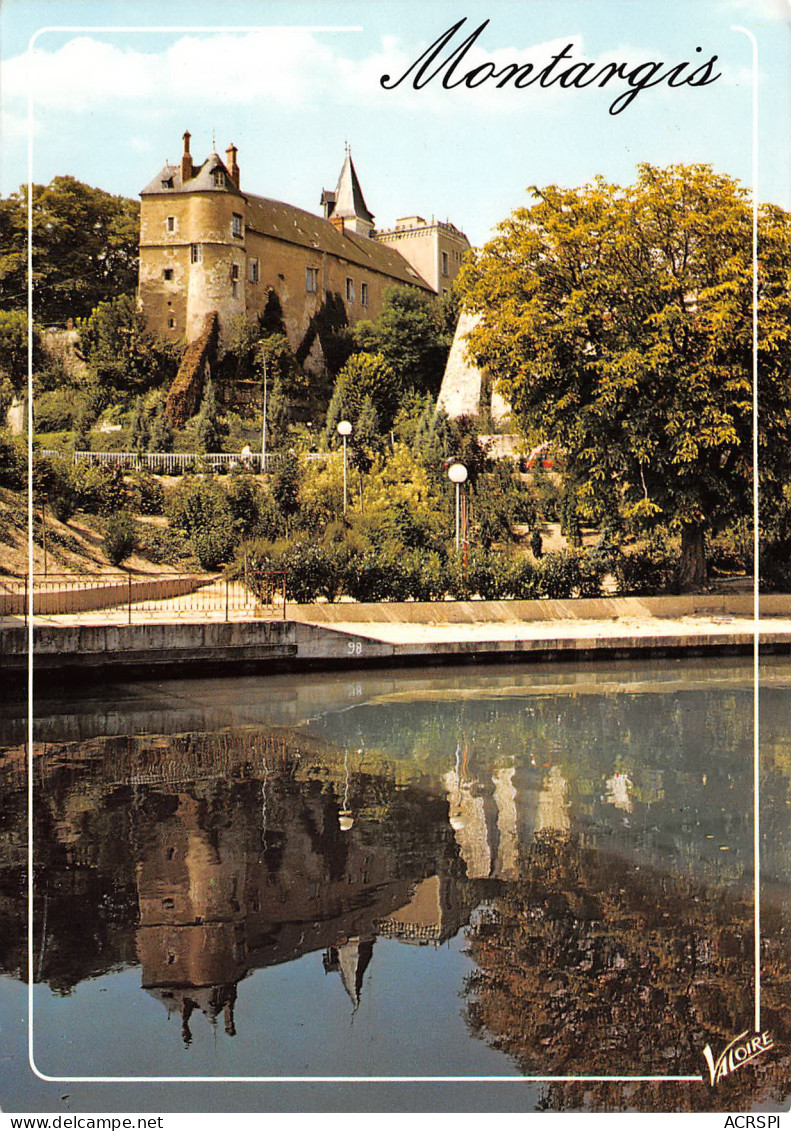 MONTARGIS  Le Chateau Vu Du Canal De Briare GATINAIS  5 (scan Recto Verso)MF2748TER - Montargis