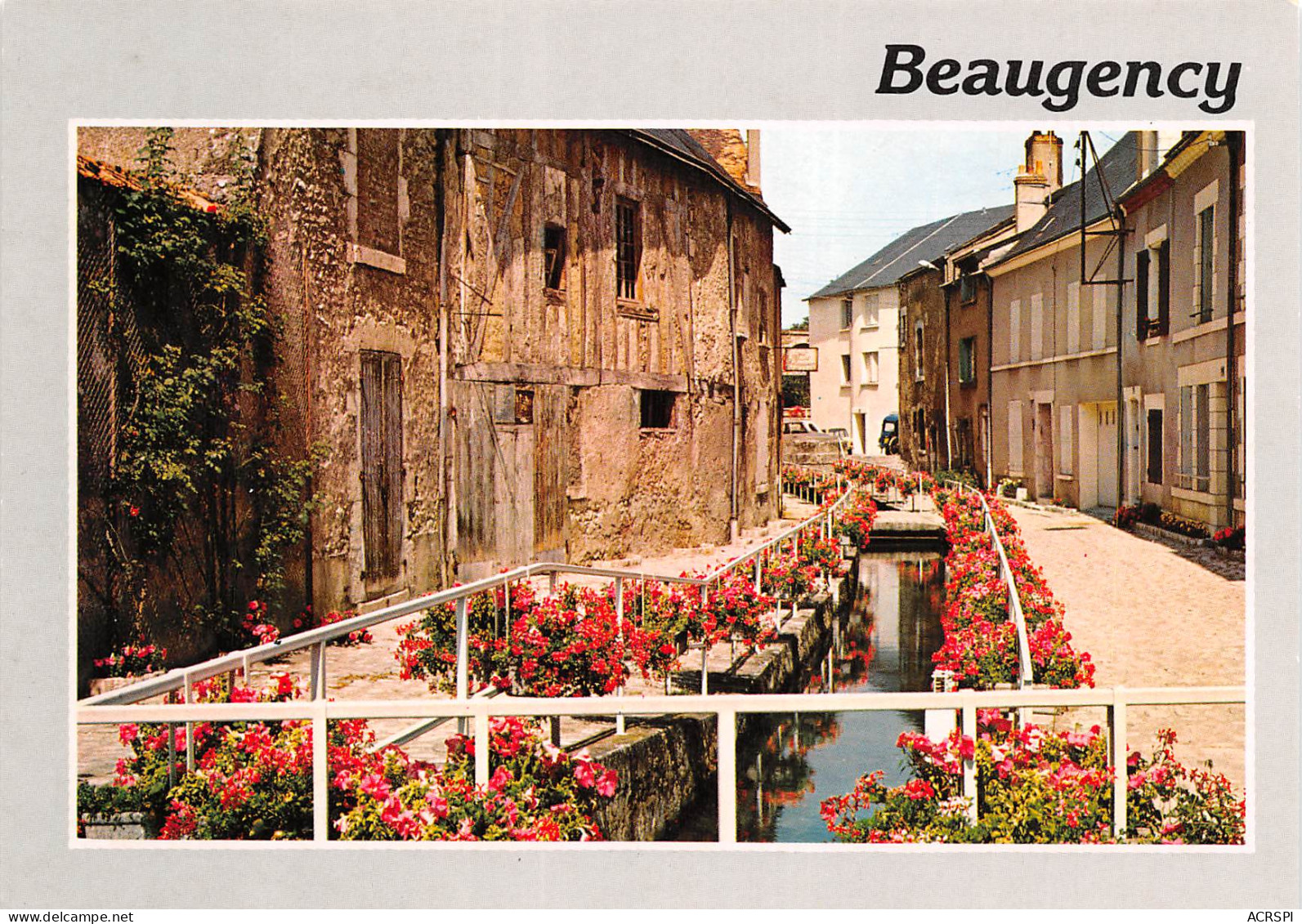 BEAUGENCY La Rivière Fleurie 13 (scan Recto Verso)MF2748TER - Beaugency