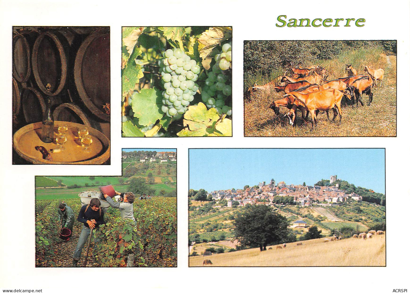 SANCERRE  Divers Vues 19 (scan Recto Verso)MF2752BIS - Sancerre