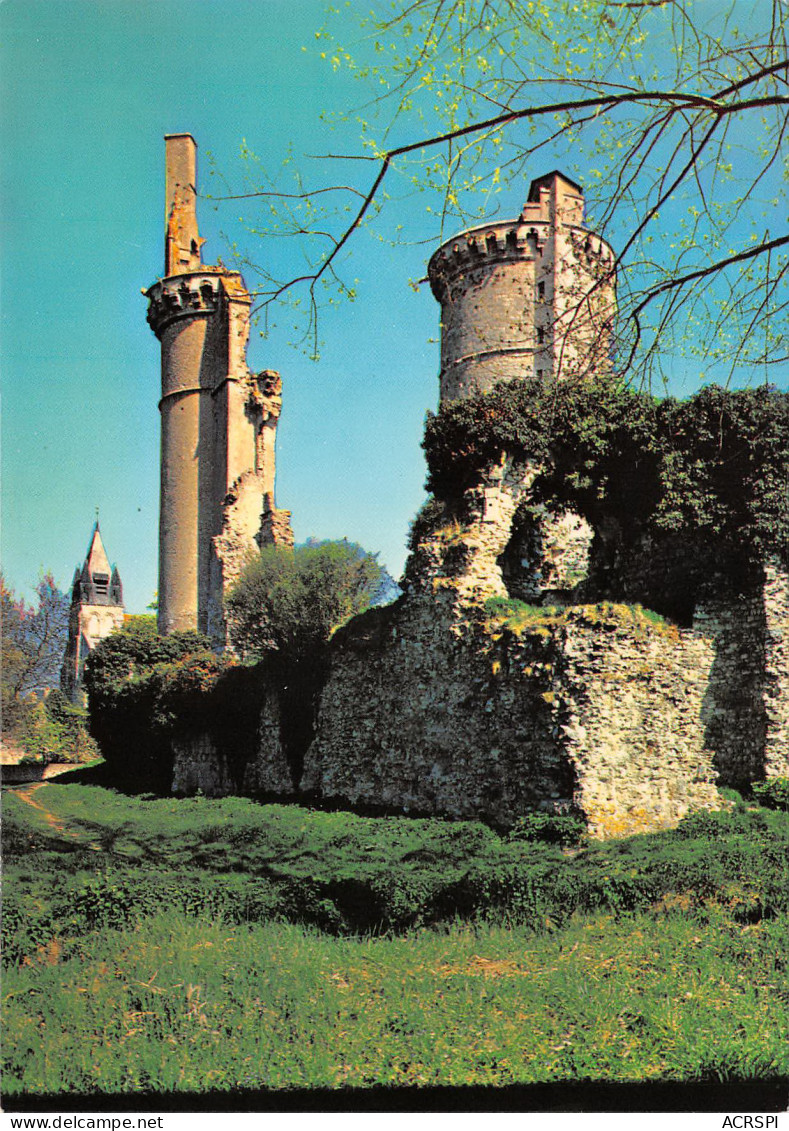 MEHUN SUR YEVRE Ruines Du Chateau Charles VII   22 (scan Recto Verso)MF2752BIS - Mehun-sur-Yèvre