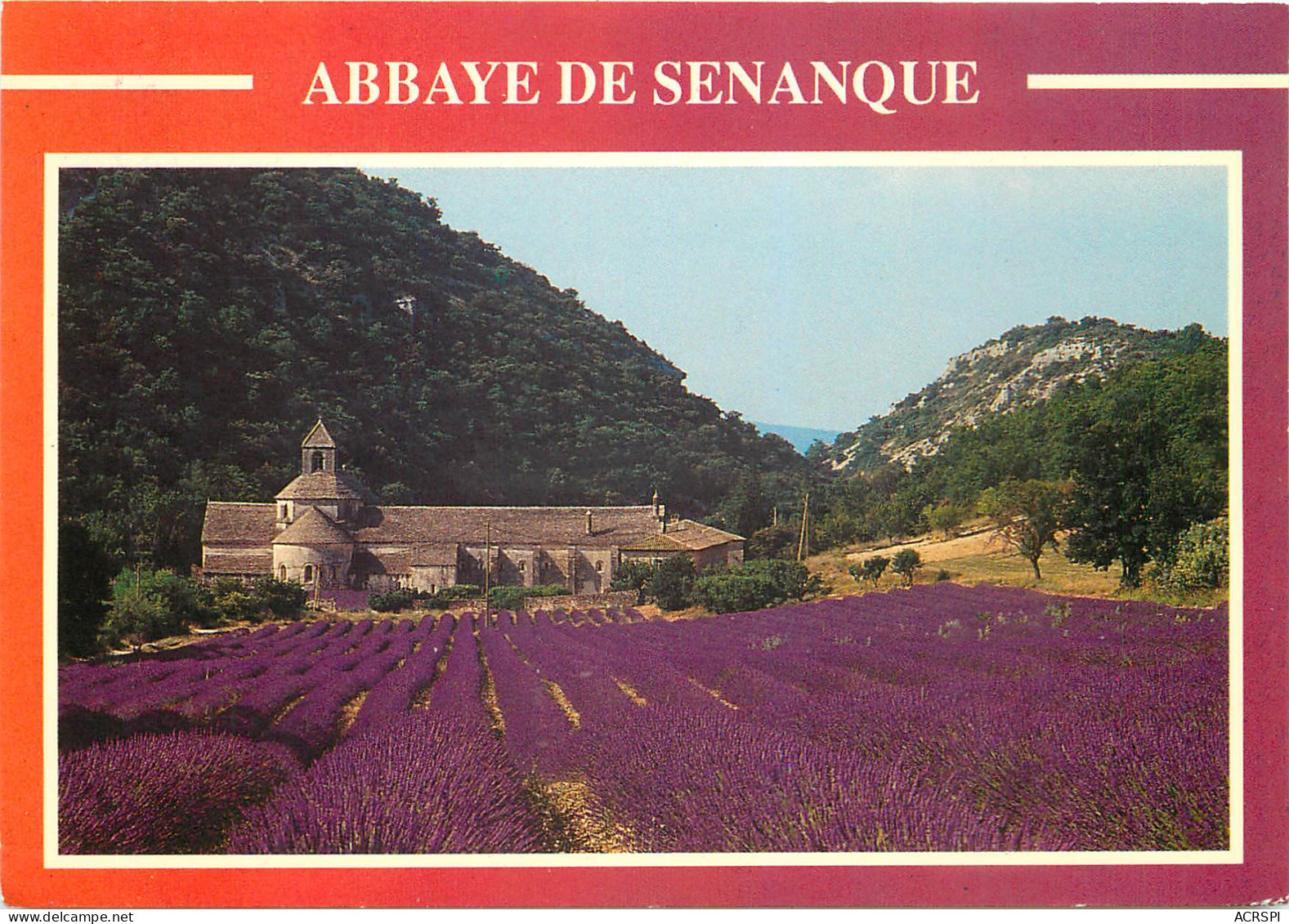 GORDES Abbaye Cistercienne De Senanque 1 (scan Recto Verso)MF2753 - Gordes