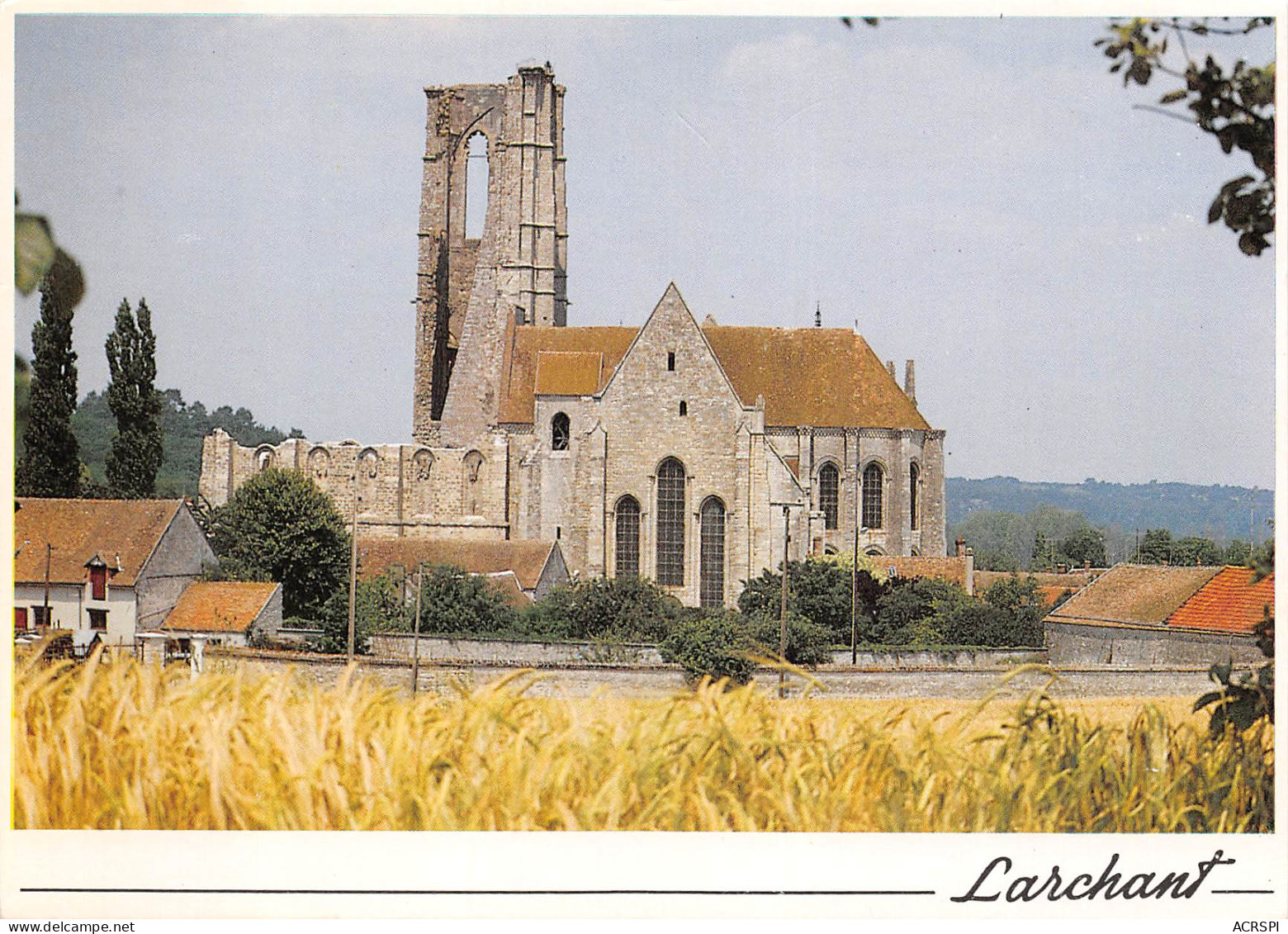 77   LARCHANT église St MATHURIN  16 (scan Recto Verso)MF2754VIC - Larchant