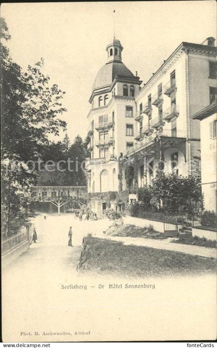 11853420 Seelisberg UR Grand Hotel Sonnenberg Seelisberg UR - Sonstige & Ohne Zuordnung