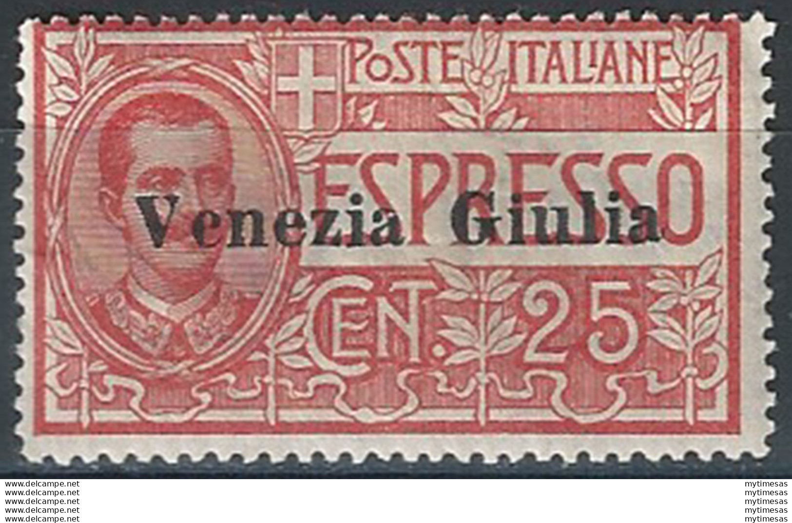 1919 Venezia Giulia Espresso 25c. Rosso Bc MNH Sassone N. 1 - Other & Unclassified