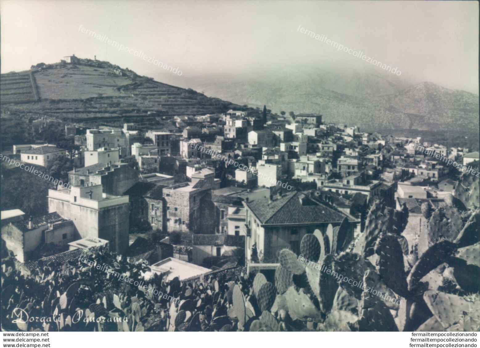 Z99 Cartolina Dorgali Panorama Provincia Di Nuoro - Nuoro