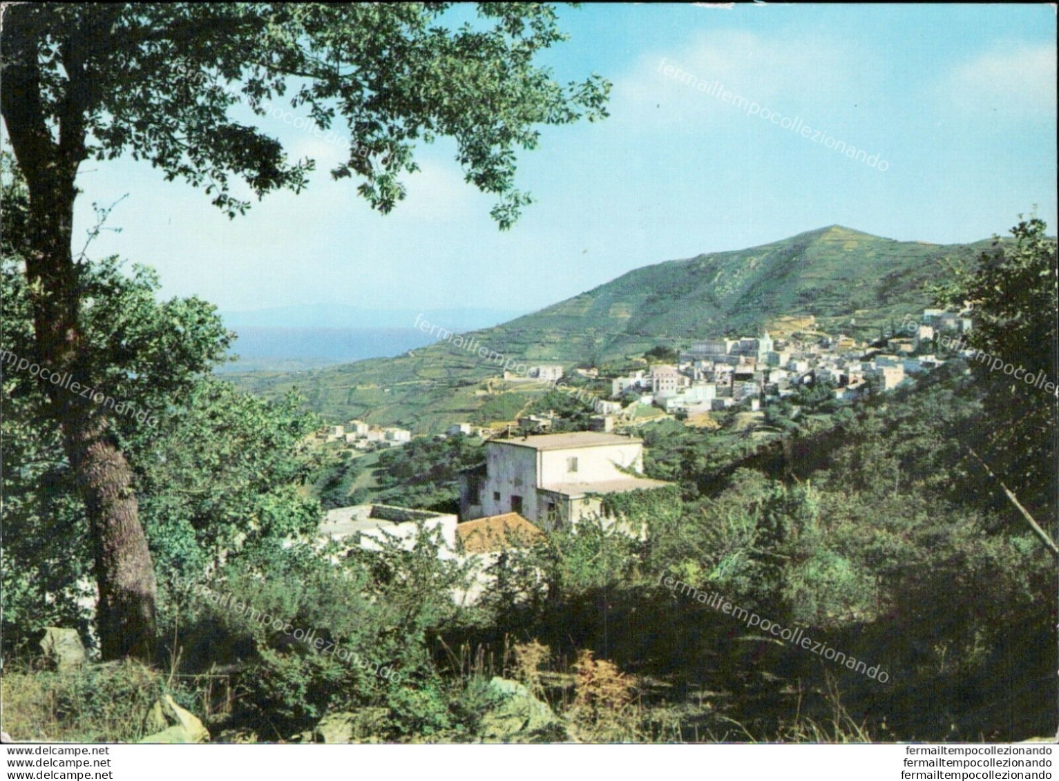 Al616 Cartolina Lanuesei Panorama Provincia Di Nuoro - Nuoro
