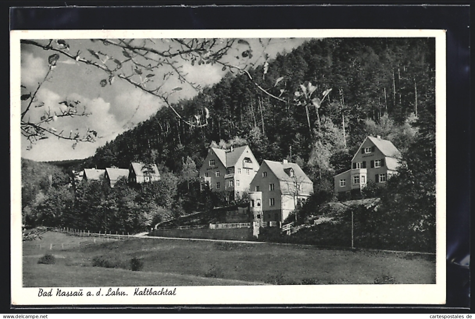 AK Bad Nassau, Blick Ins Kaltbachtal  - Nassau