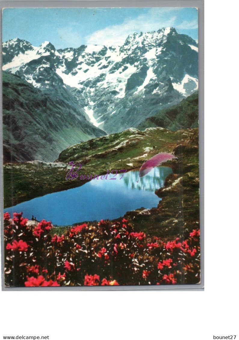 LES ALPES PITTORESQUE 05 - Le Printemps En Haute Altitude Le Lac LAUZON 1965 - Sonstige & Ohne Zuordnung