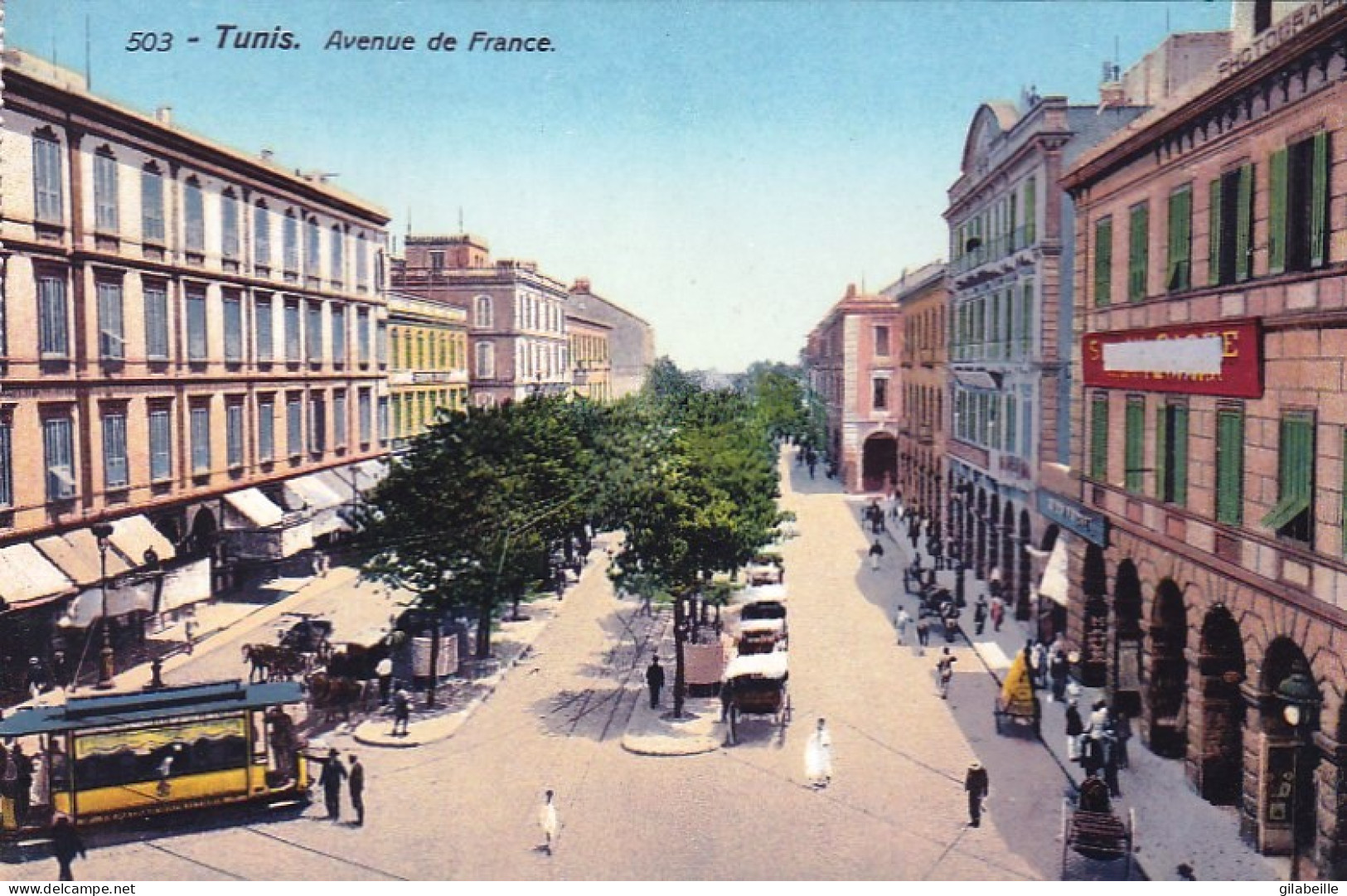 Tunisie -  TUNIS -  Avenue De France - Tunisie