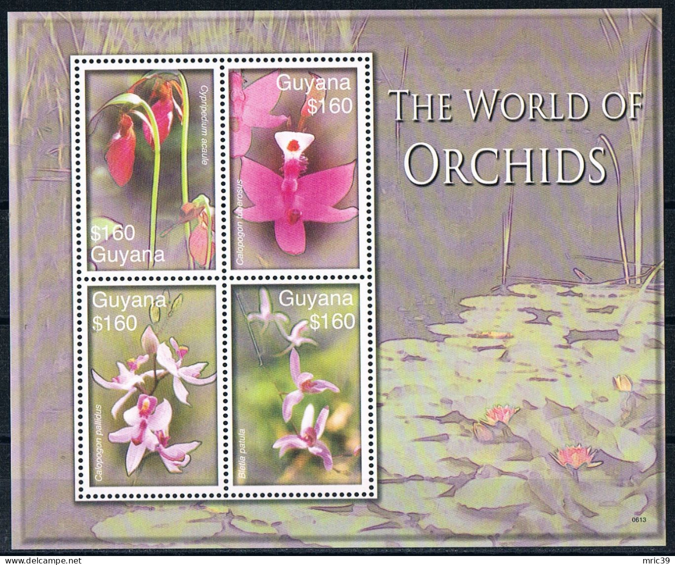 Bloc Sheet  Fleurs Orchidées Flowers Orchids  Neuf  MNH **   Guyana 2007 - Orchideeën