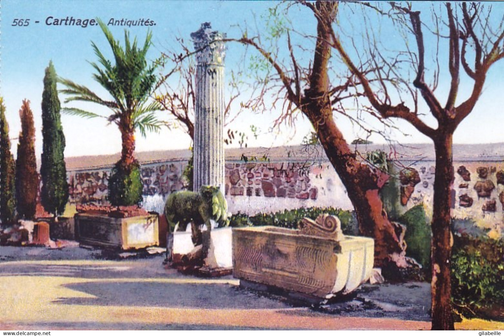 Tunisie -  CARTHAGE -  Antiquités - Tunisia