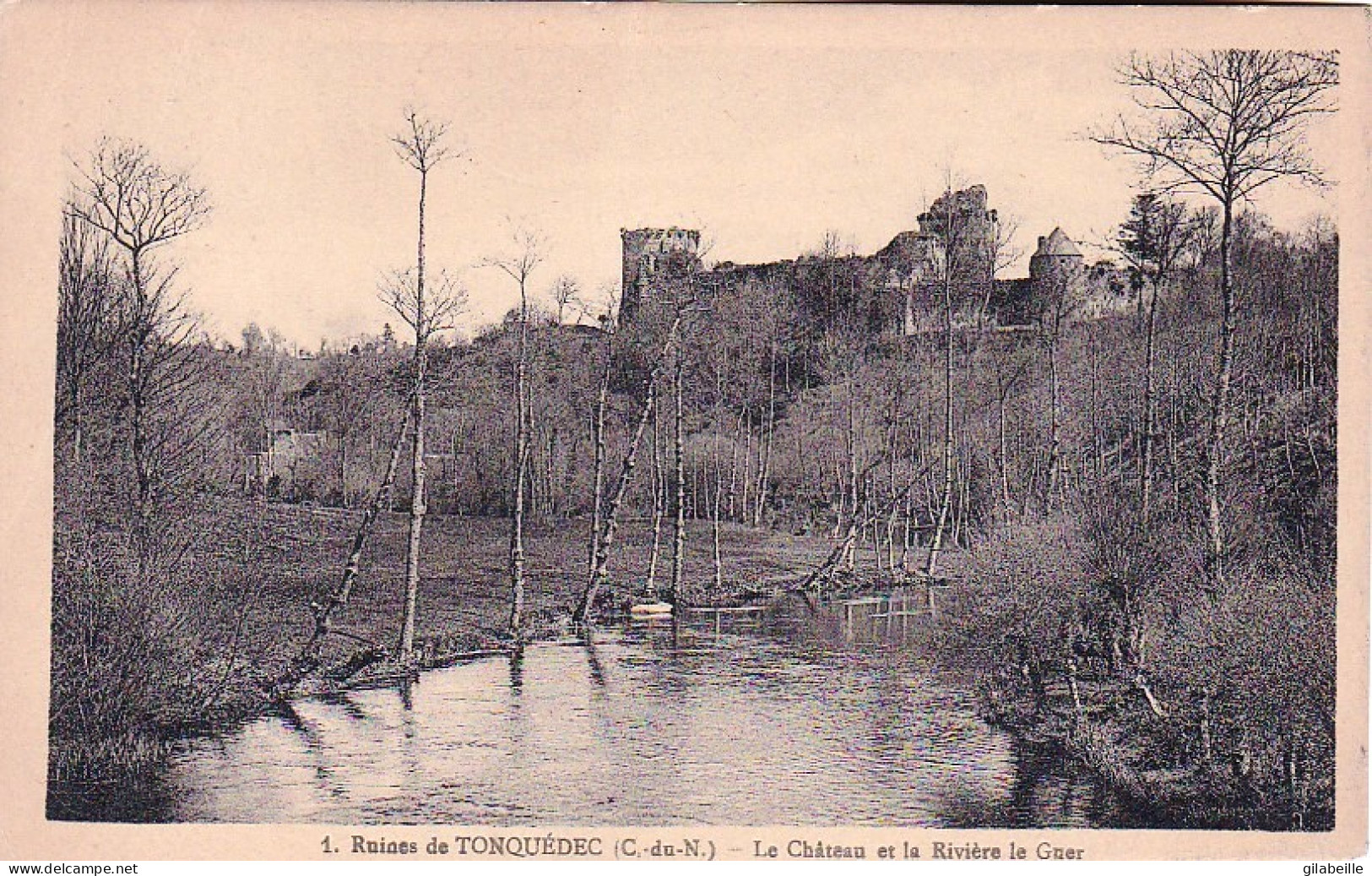22 - Ruines De TONQUEDEC -  Le Chateau Et La Riviere Le Guer - Tonquédec