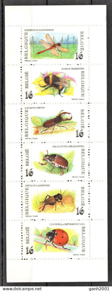 Belgium 1996 Bélgica / Insects Booklet MNH Insectos Carnet Insekten / Mp13  38-24 - Other & Unclassified