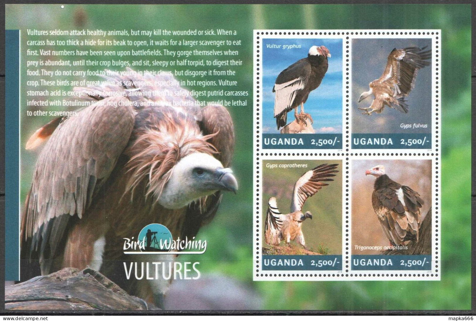 Ug018 2014 Uganda Birds Of Prey Vultures Bird Watching Fauna #3255-3258 Mnh - Andere & Zonder Classificatie