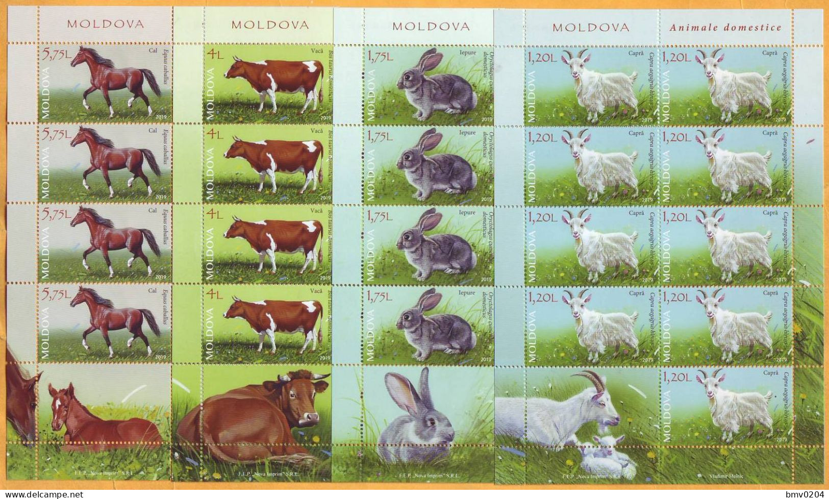 2019 Moldova Moldavie Fauna. Domestic Animals. Goat. Rabbit. Cow. Horse. 4 Sheets Mint - Farm