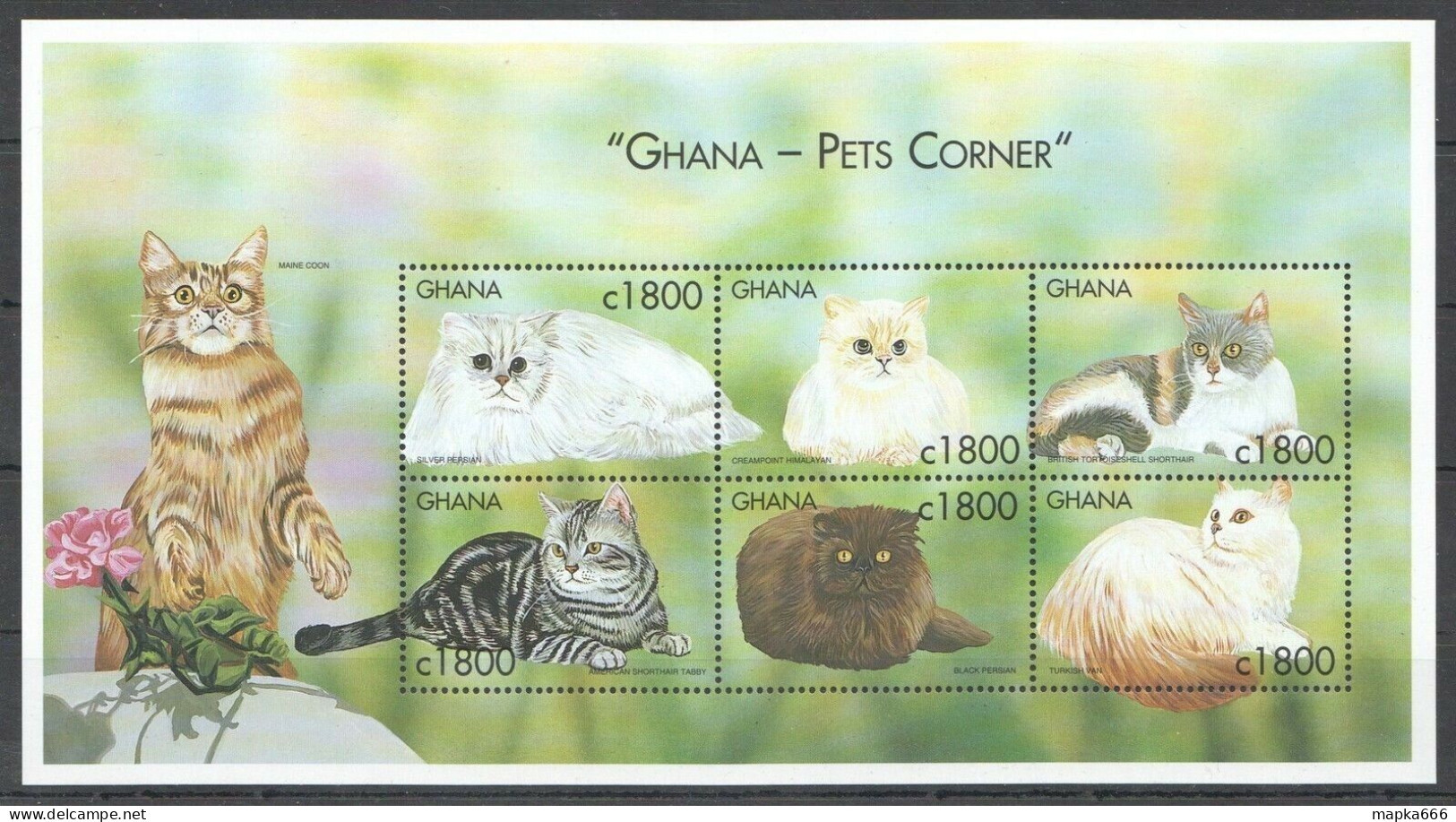 Pk035 Ghana Fauna Pets Corner Cats 1Kb Mnh Stamps - Katten