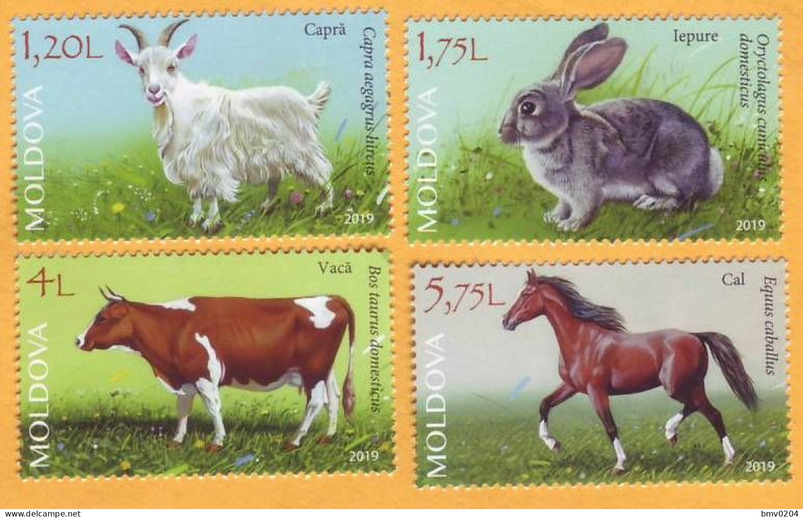 2019 Moldova Moldavie Fauna. Domestic Animals. Goat. Rabbit. Cow. Horse. 4v Mint - Boerderij