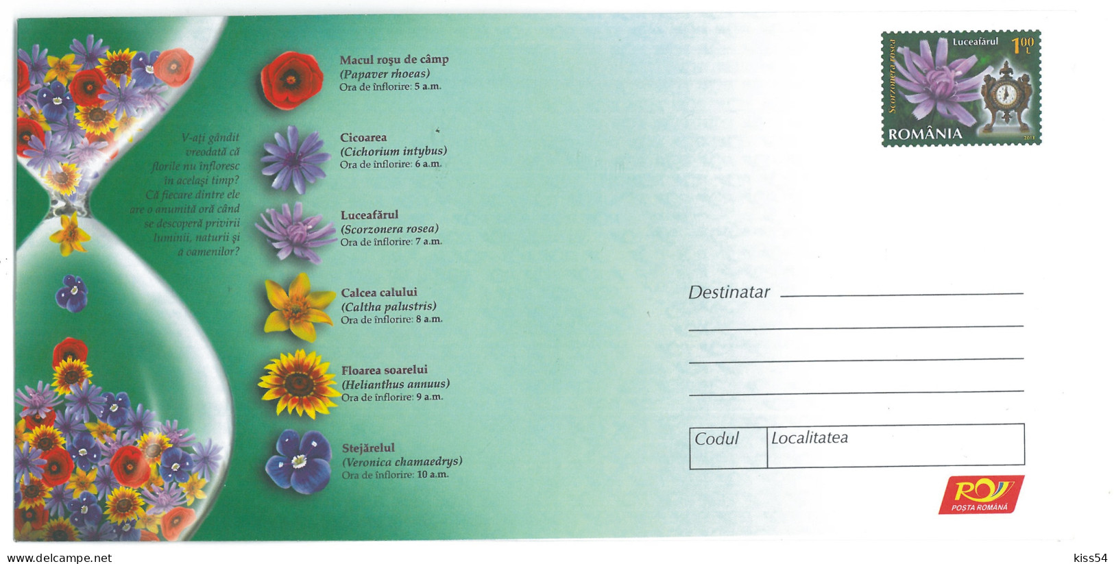 IP 2013 - 1 Time, Clock And Flowers, Romania - Stationery - Unused - 2013 - Postal Stationery