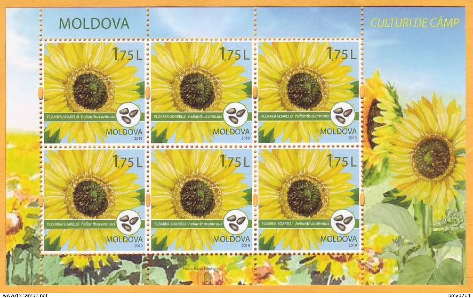 2019 Moldova Moldavie  Cereal Crops. Field Crops. Sunflowers Sheet Mint - Moldavie